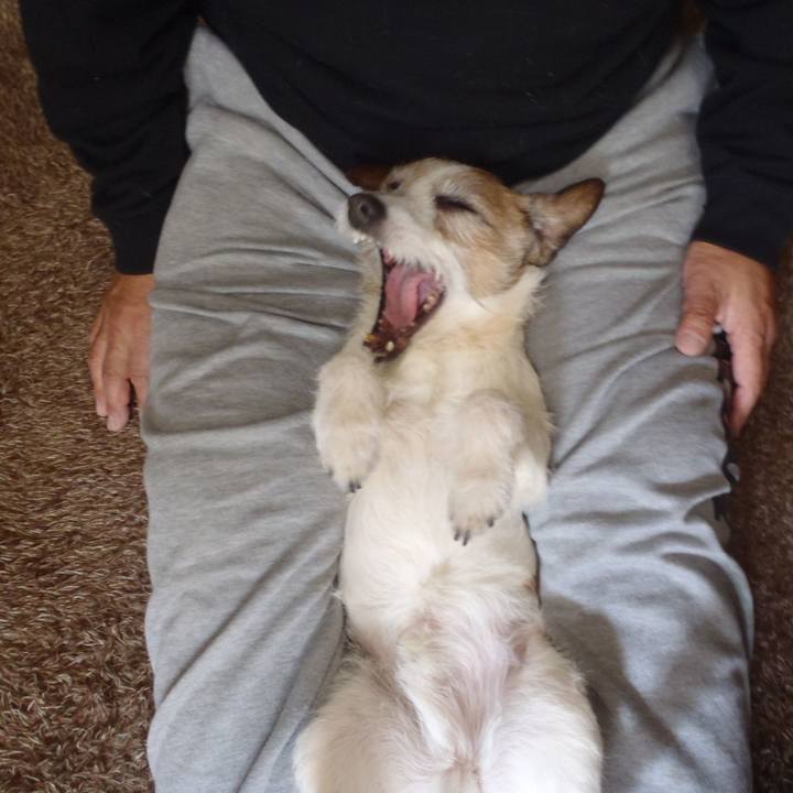 F3642245 a5cf 4f74 94d6 937bbafb064f 1524995481757