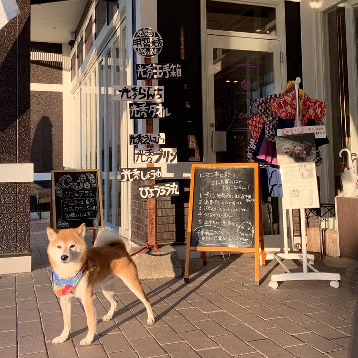 F3642be1 4067 4e36 ab03 365adec52ca0 1575792154335