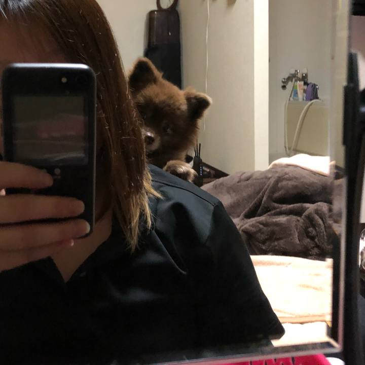 F3645d6a ac59 4b3b b939 d3a7bfeba25d 1541296539624