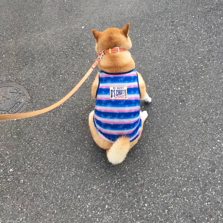 F3647929 4991 4445 a4f5 9a678d7174af 1564526782209