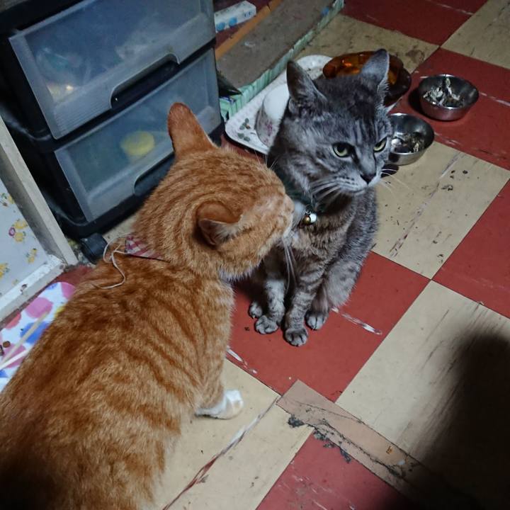 F3649354 0f24 4ba8 9a9f a202ff0b2055 1567800595983