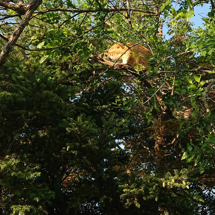 F364aad9 b314 49bf 8d40 98838f857c1b 1592599439587