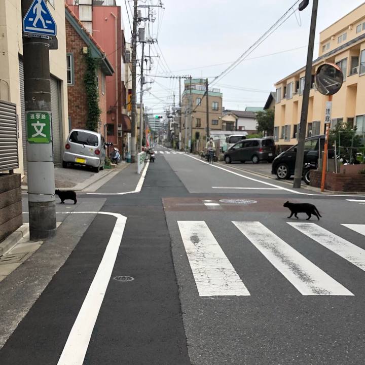 F364ac27 1348 41ae 911a 0d8257cd883d 1593519768384