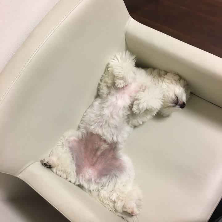 F364eb3e 1b18 46c2 9709 863f415b6bec 1511608536672