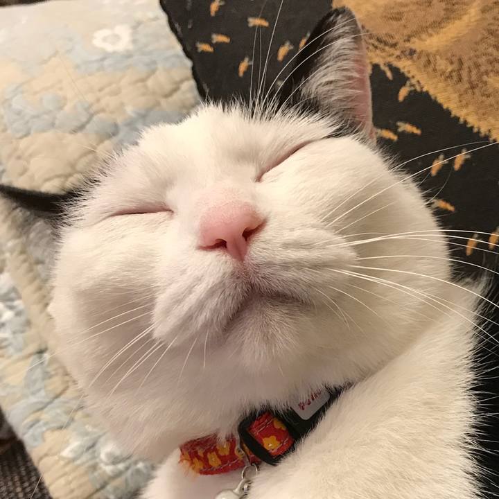 F364ff9e 57ca 4d66 9959 40885f68e6ff 1551100916782