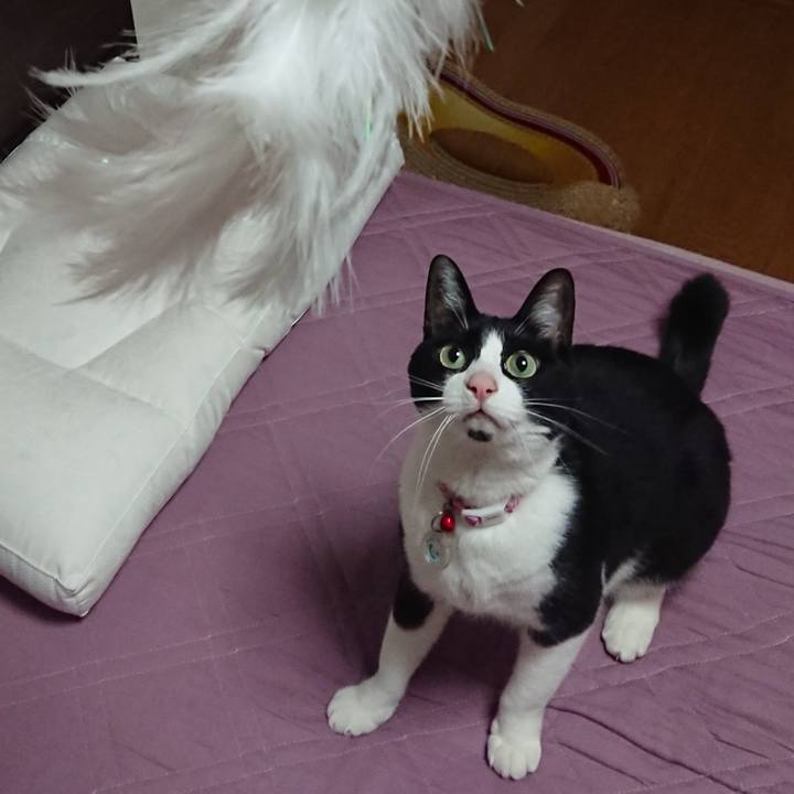 F3651d3f 3888 47ee 9edf 4b996100ce8a 1615594309835