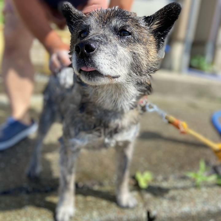 F3653a54 efb5 4c08 b703 0ed1ca78f970 1657347847184