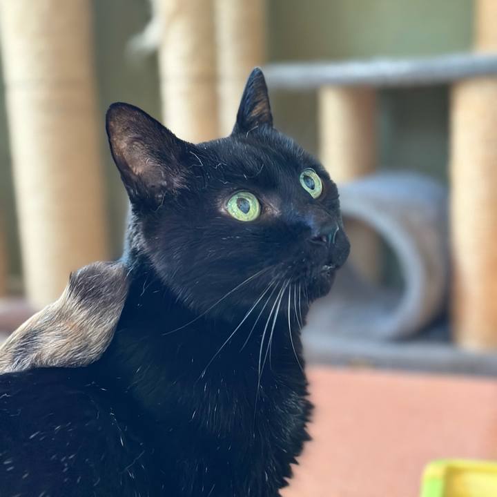 F36563c6 e2b9 4e9e 95db 97fa535013f2 1701305428846