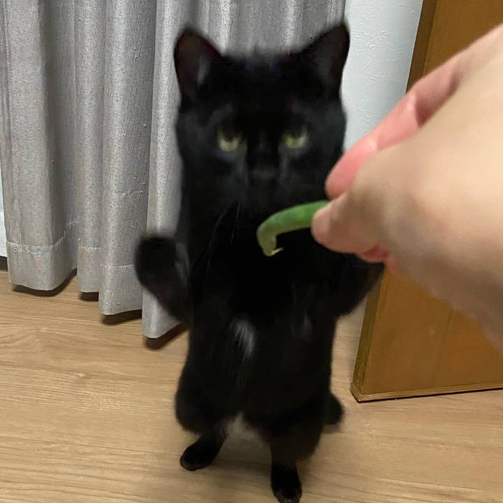 F3657698 36ac 4124 b486 0d4f848d62bb 1625224519074