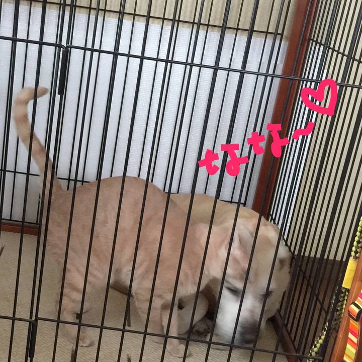 F3659784 b986 47a0 b219 8a2c8751bd6e 1525848371632