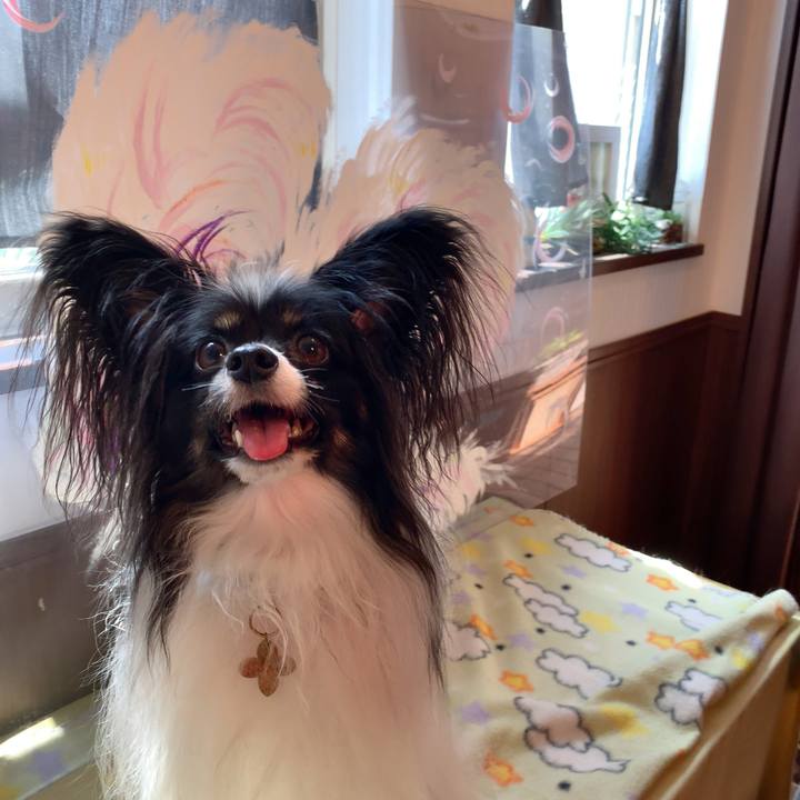 F365d72a a714 4621 a820 fa4ee5bb7215 1566017881417