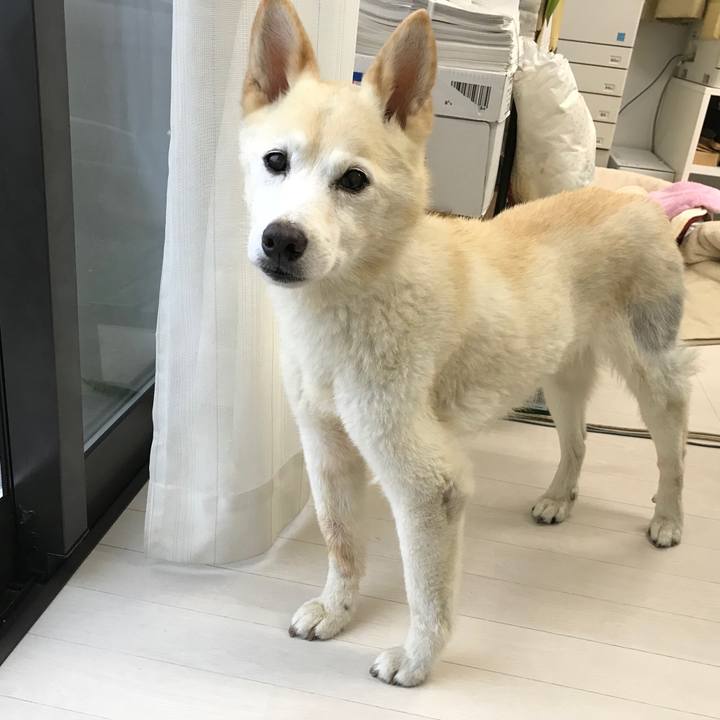 F365e120 ae3f 4ddd acdb 9d11b2a76820 1508605372467