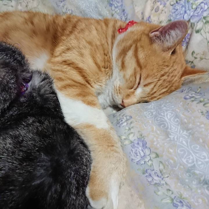 F365e311 bb14 42ba b046 91c14ed41a66 1579783822386