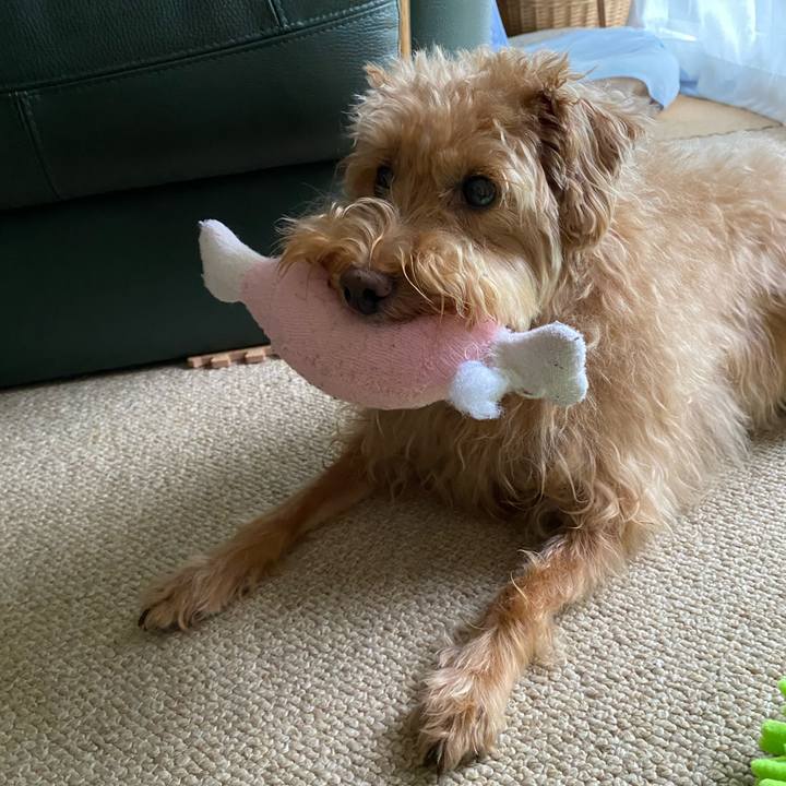 F3663f82 085a 4ec0 91fb ac7e581d7ecd 1692224846342