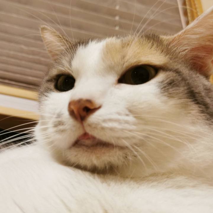 F3665471 5098 4c43 ace6 2ed46c30c3fc 1631786677378