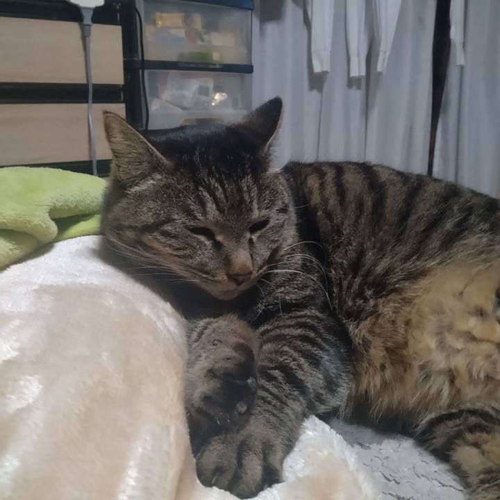 F3667774 68ff 4be2 bfeb 9f63b7fa0f92 1677711632348