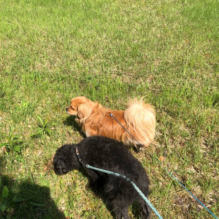 F366836e ab4a 49dd 9bd5 62dae3c434a6 1557016807466