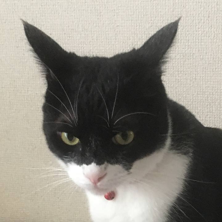 F36690f9 188a 4f71 a4cd a043467b363a 1571028240926