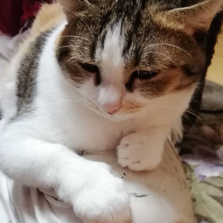 F36696eb bbb9 40b4 81f4 74f3c062c40e 1607381398247