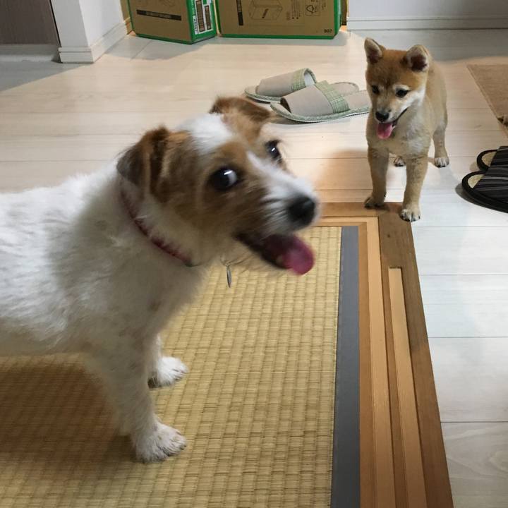 F366a7fd 7b91 4089 ac25 3261221f9d0e 1569060503928