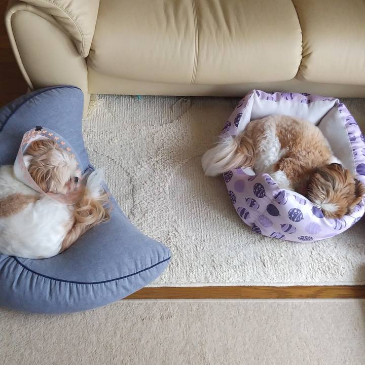 F366aad3 448b 4258 944a b4a7a3eb6377 1592192949423