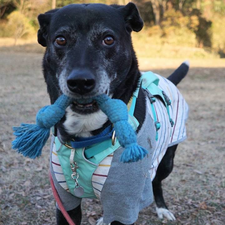 F366b6f8 14be 470b 86ac e5f3b114b276 1769821254031