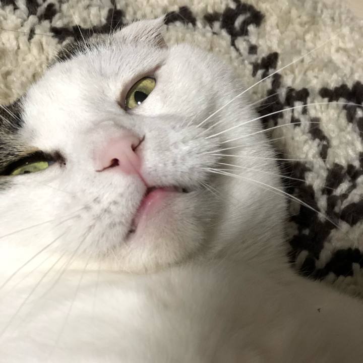 F366d71e d7c2 4f73 aeab 95f6fe286a02 1558790293274