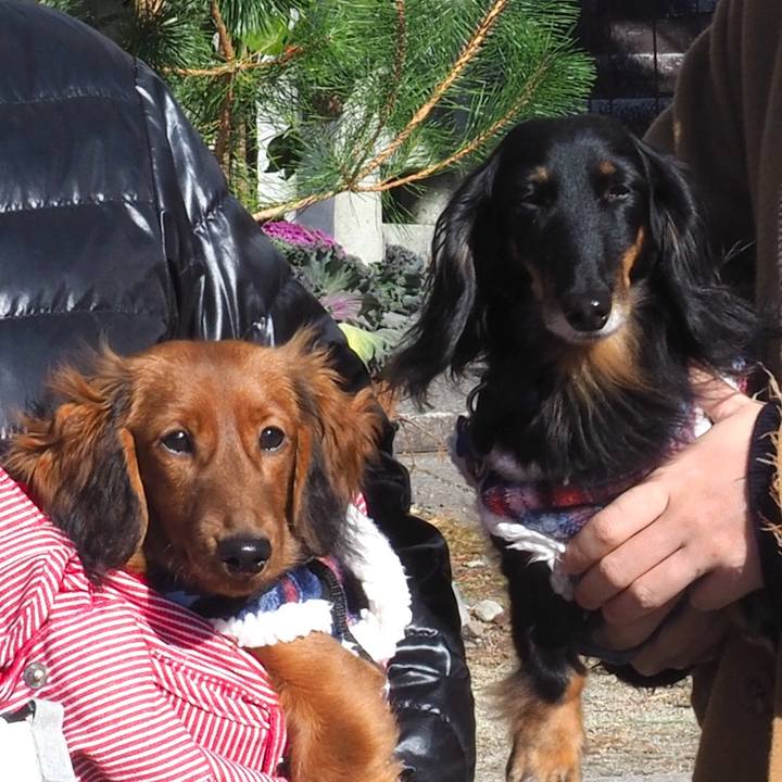 F366df5a 4114 4244 b65d 85d1ef7c04f2 1704103173976