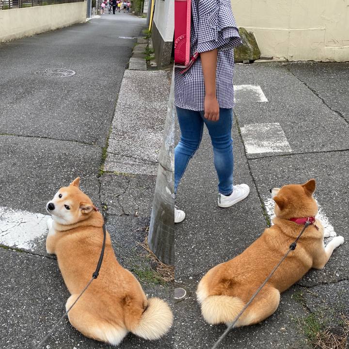 F366ecfa 9b84 4390 b032 aafe0512b6c0 1595978754697