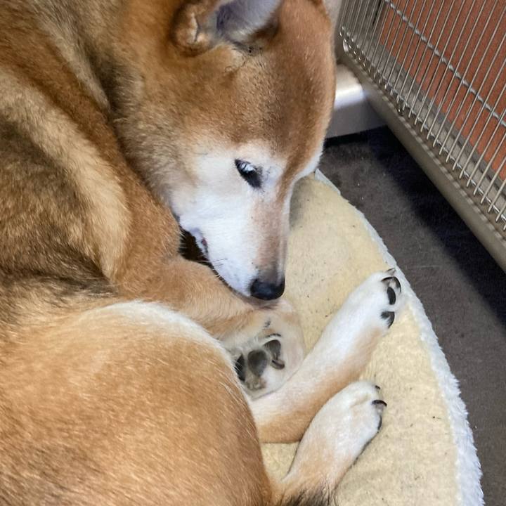 F366ef7d 3b05 4b54 ac57 ef9a85c80984 1706486481251