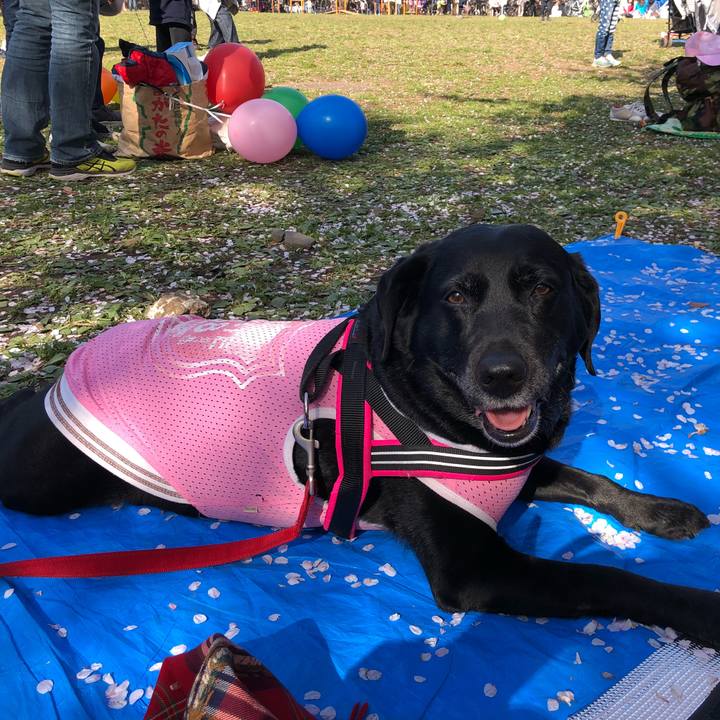 F3672123 53e6 4b29 b149 cacd19e77ded 1522491663191