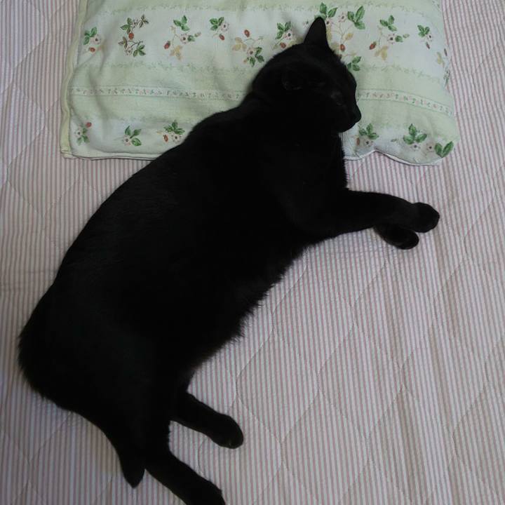 F3676552 a546 42ee b7de 35c67c4a3c78 1590631753441