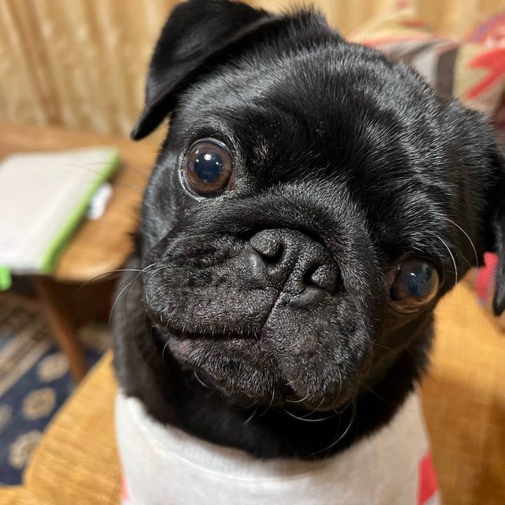 F367876c f1c4 4a71 bd1b c29e52c2acc5 1645438159575