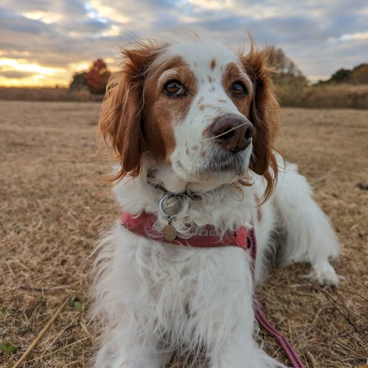 F3679325 4600 4a57 a873 916a3c0f23c5 1671523942364