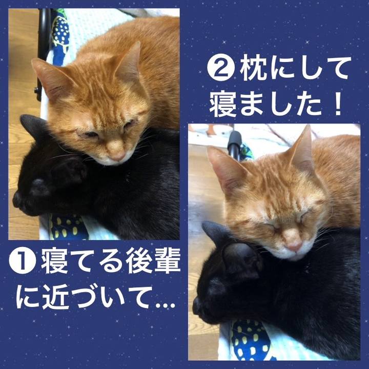 F367977f 085c 4a5a b708 98285f203f22 1742475044083