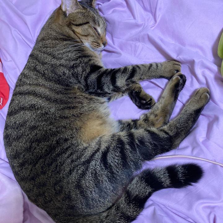 F367a998 110e 4fb2 83fd 70c82b38decb 1633854992540