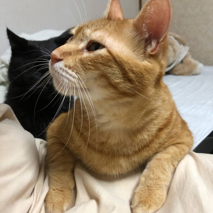 F367c469 e077 4a52 bec2 24e5070aae04 1630503620774