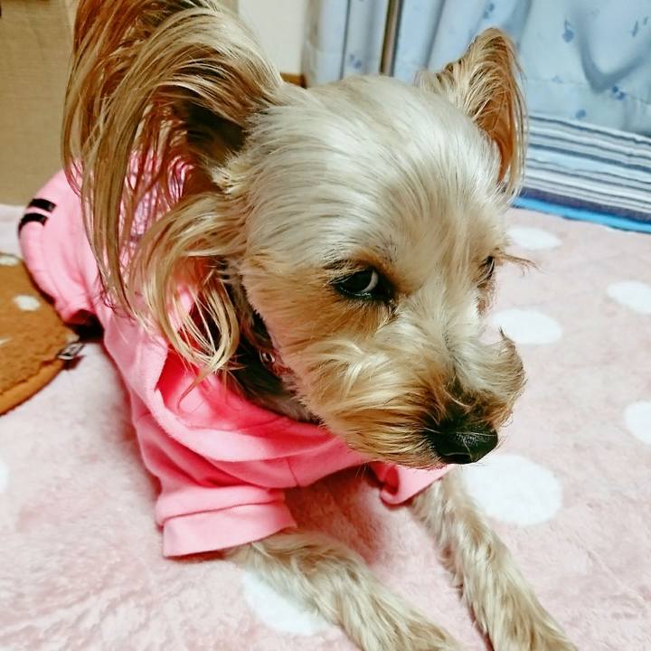 F36830dc 8f17 4c3b 95c7 20212690aa21 1509629062082