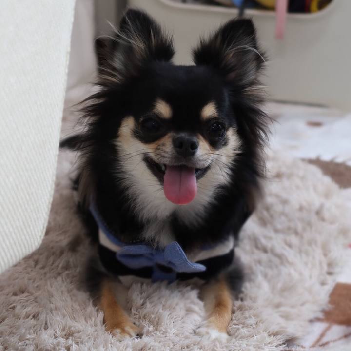 F36851e6 95c0 45c5 a4da cd7132284194 1564877677252