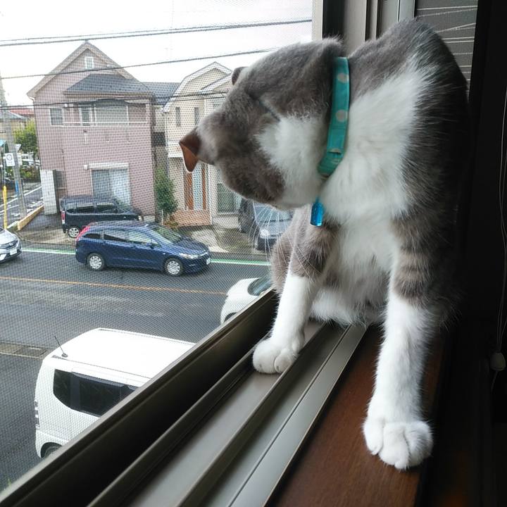 F36852c7 1a93 4a9e 9381 ab34085169d9 1594075089888