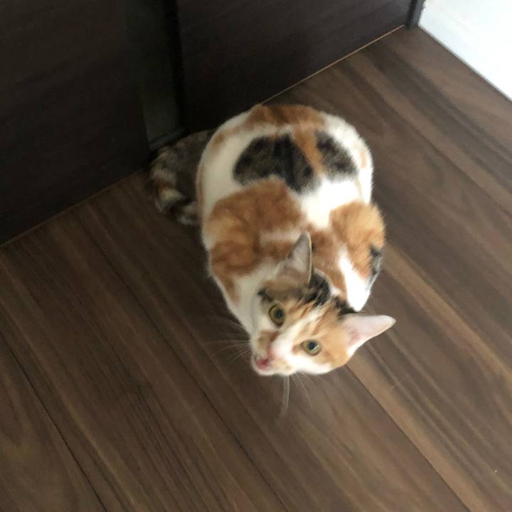 F3688618 440a 43e0 bf90 b0d8b9a7b70d 1583969920478