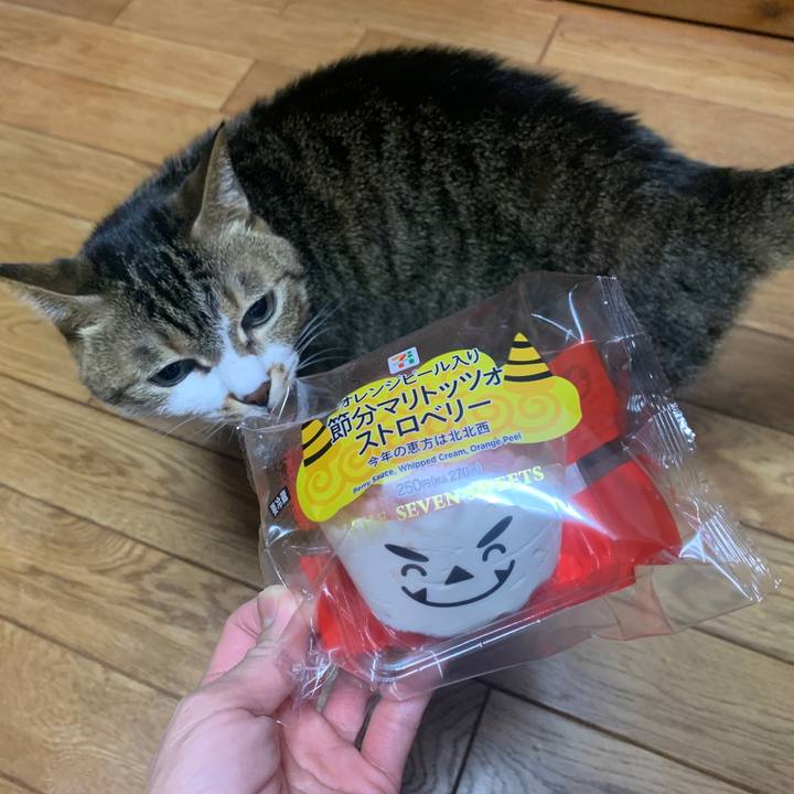 F368e351 550d 4f82 9ccb e972a829cd56 1643975122488