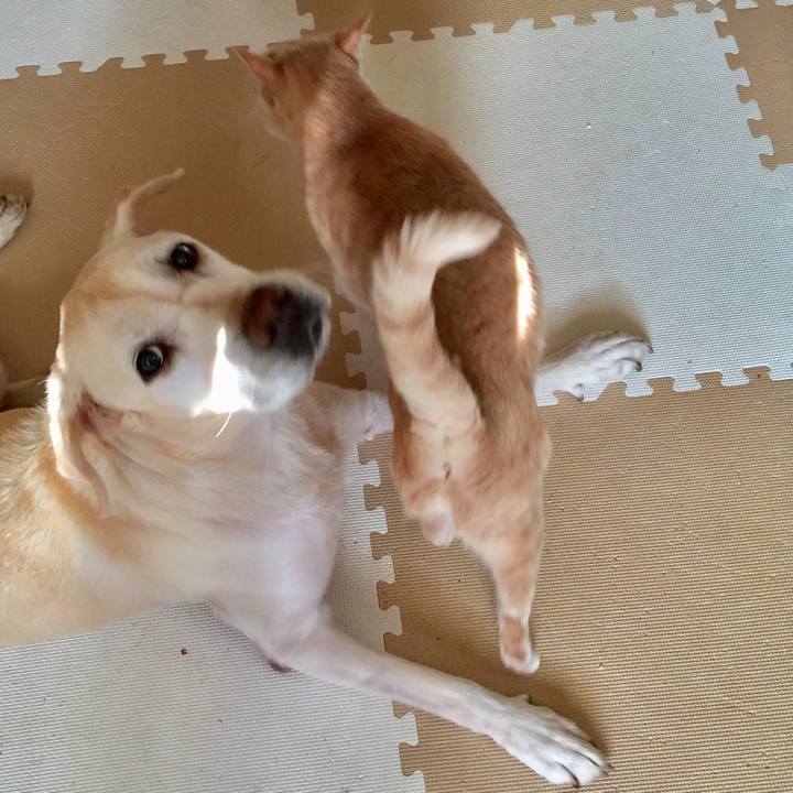 F3690fc3 c8e3 4b37 aa12 7bc848790fed 1590062880290