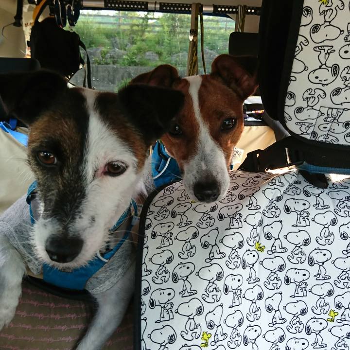 F3691892 dd88 4458 8996 da1b009c63e9 1560930606352