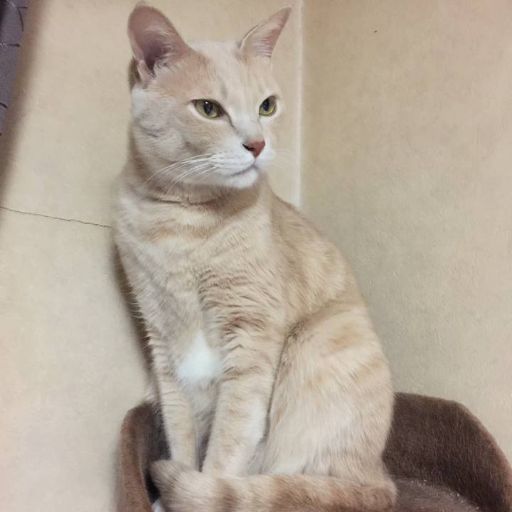 F369245e 0860 4854 9e73 d9ec49cc4956 1572363400642