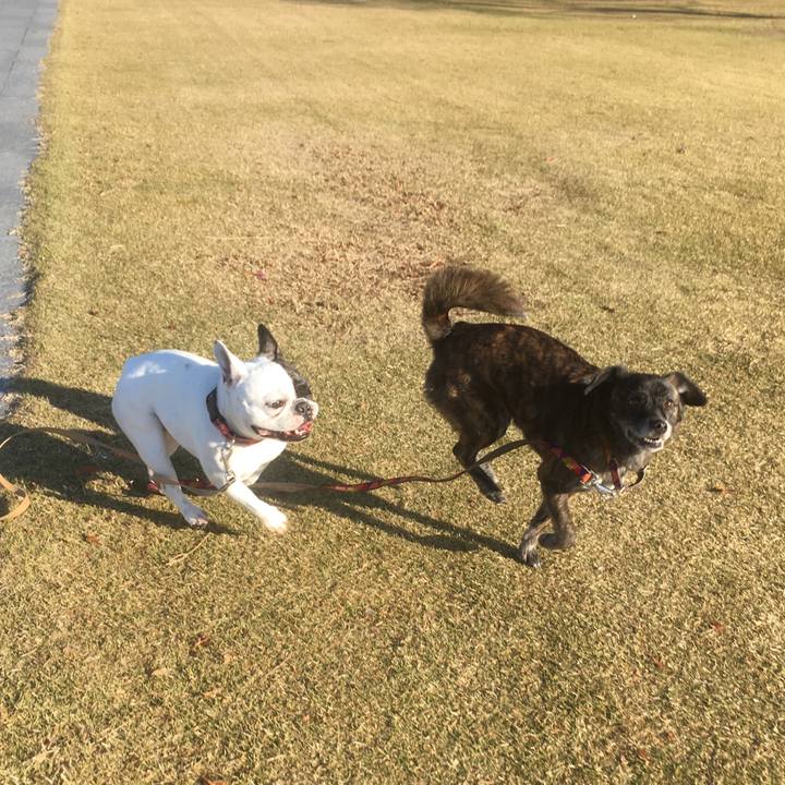 F36998c0 848c 4caf 9104 796efb91b584 1547219896350