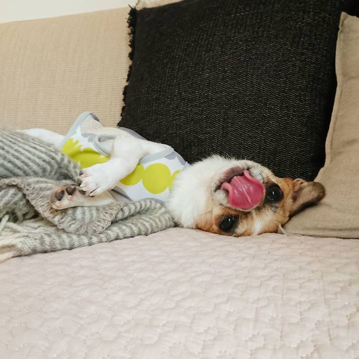 F369b3c7 fdc7 4283 a0f6 1ee802438b6b 1593769442465