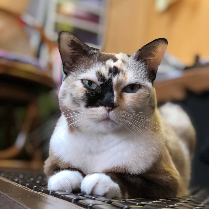 F369c027 70ee 4ed3 b9f5 a0f8a07ab77f 1674225263540