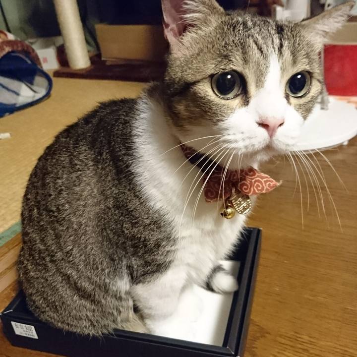 F369c112 f40e 41da a30c abf5fd7400b8 1538315091458