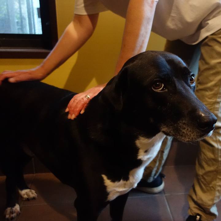 F369ce38 8bb4 4843 925f 30931b839729 1684321814925